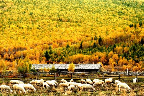 Aershan National Forest Park